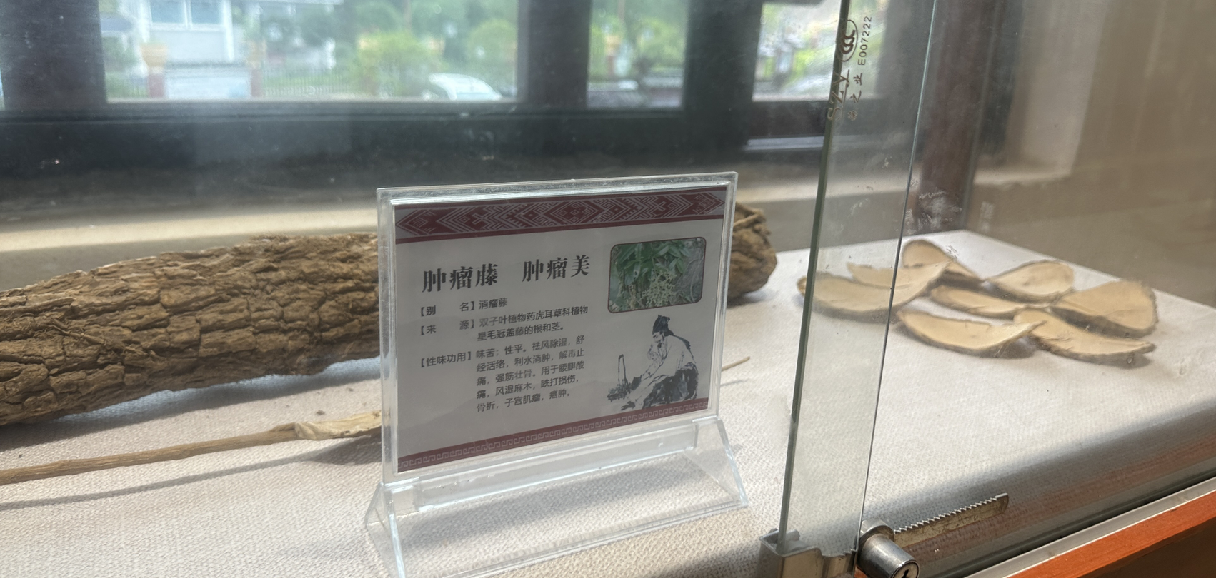 图片肿瘤藤 肿瘤美47